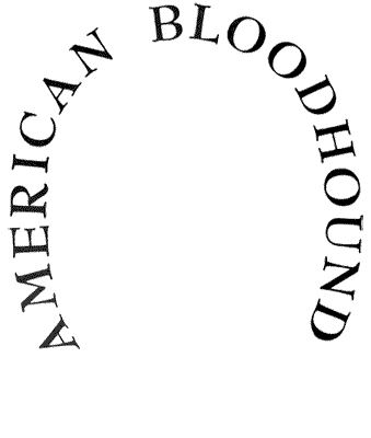 ABC Front Logo