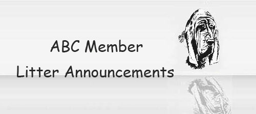 ABC Member Litter Announcements